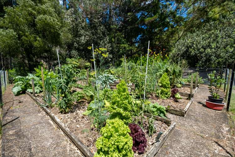 605 Takahue Road Takahue_23