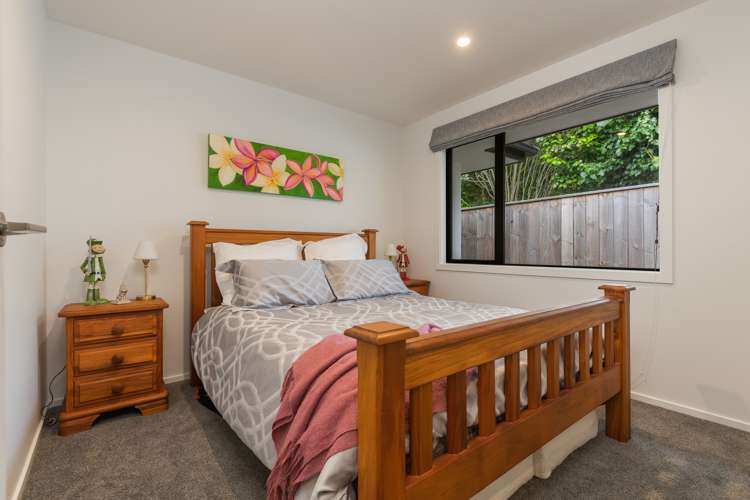28a Alfred Street Roslyn_12