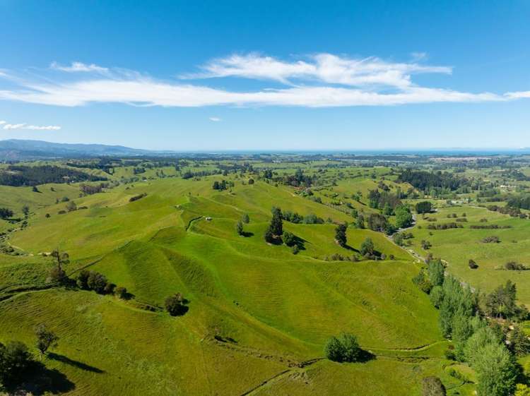 600 Neudorf Road Upper Moutere_41