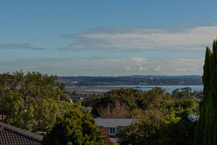 21 La Veta Avenue Mount Albert_1