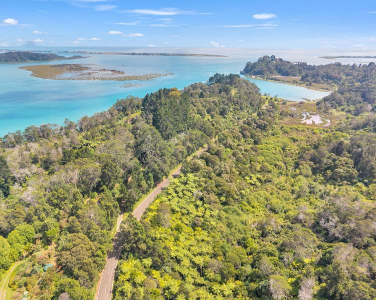 Ohiwa Loop Road Waiotahi_2