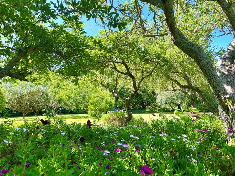 24 Mission Road Kerikeri_17