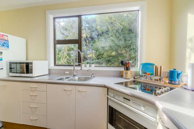 164 Main South Road Green Island_4