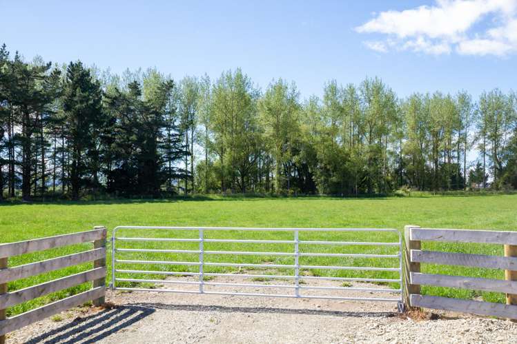 141 Nixons Road Fairlie_8