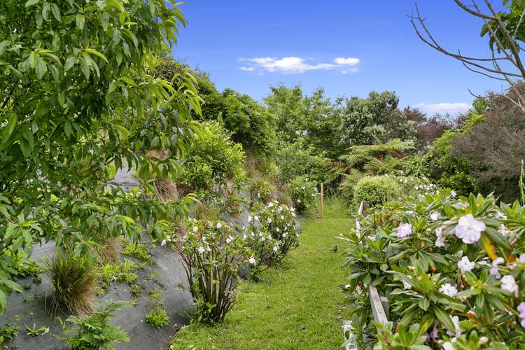 705 Waiwera Street Kawhia_15