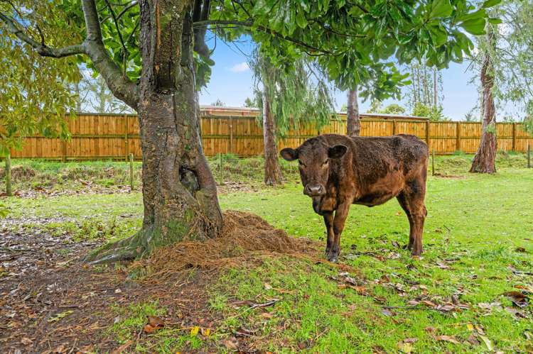 50 Lochmaben Road Tokoroa_1