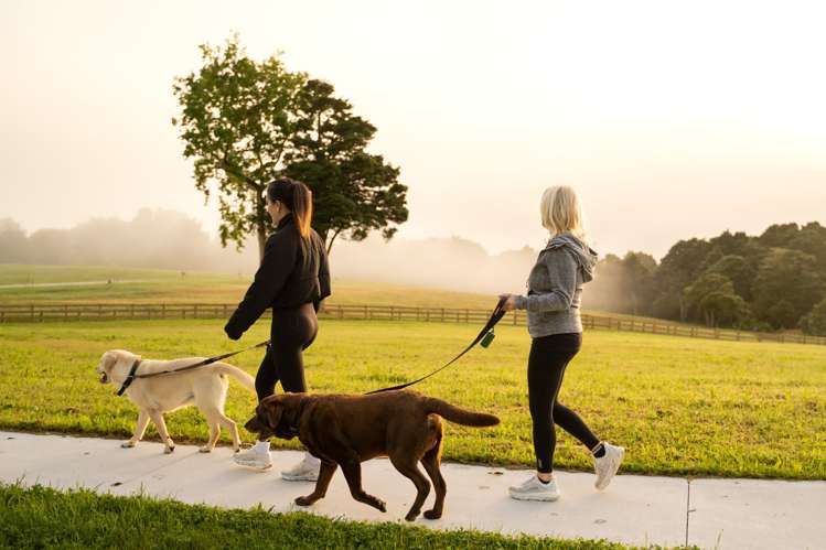 Lots 1-22 Kukupa Rise Ngararatunua_11