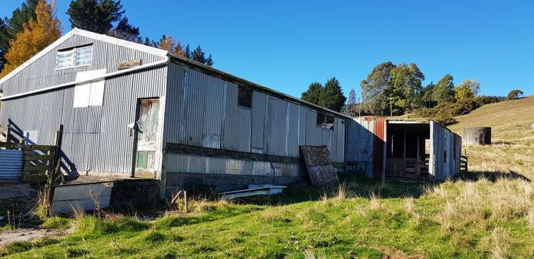 6 Silksworth Street Milton_10