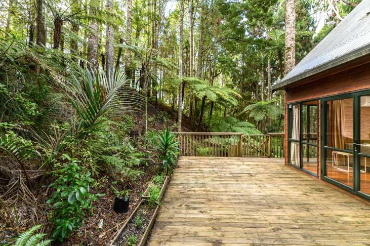 8 Kauri Loop Road Oratia_18