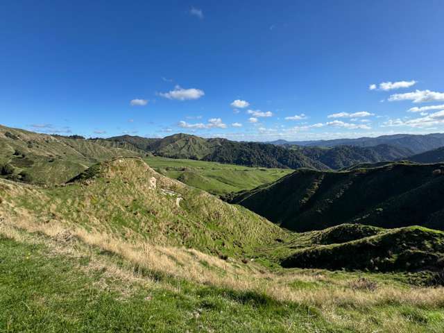 632 Murumuru Road Raetihi_2