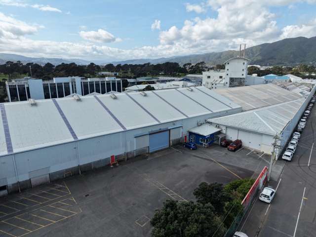 40 East Street Petone_3