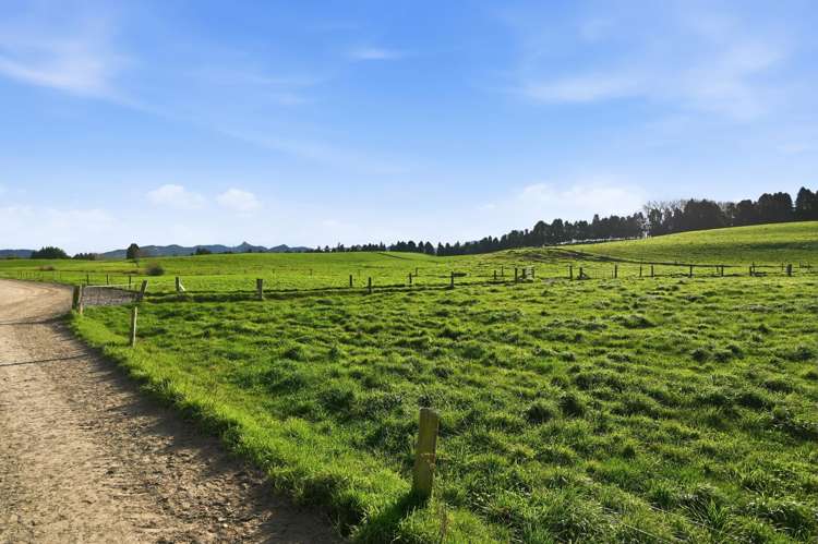 365 Halcrow Road Reporoa_24