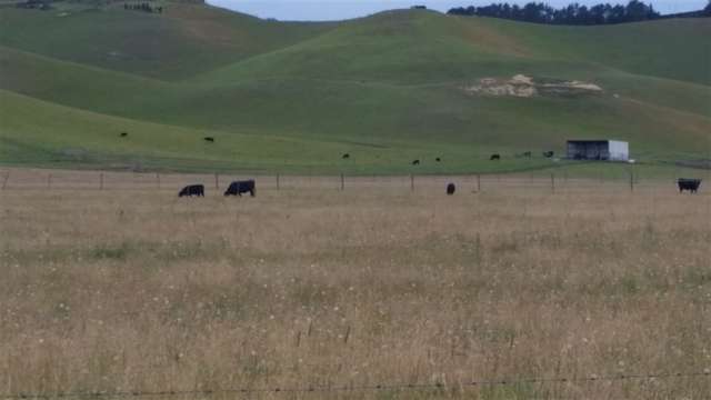 918 Taiko Road Levels Valley_4