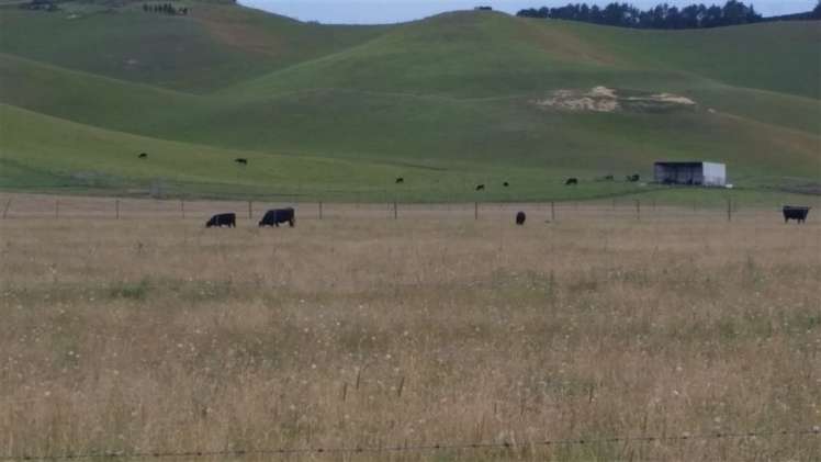 918 Taiko Road Levels Valley_4