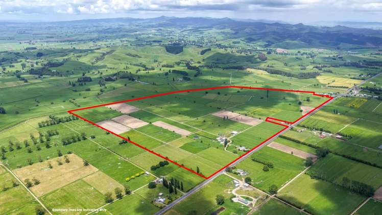 376 State Highway 25 Waitakaruru_9