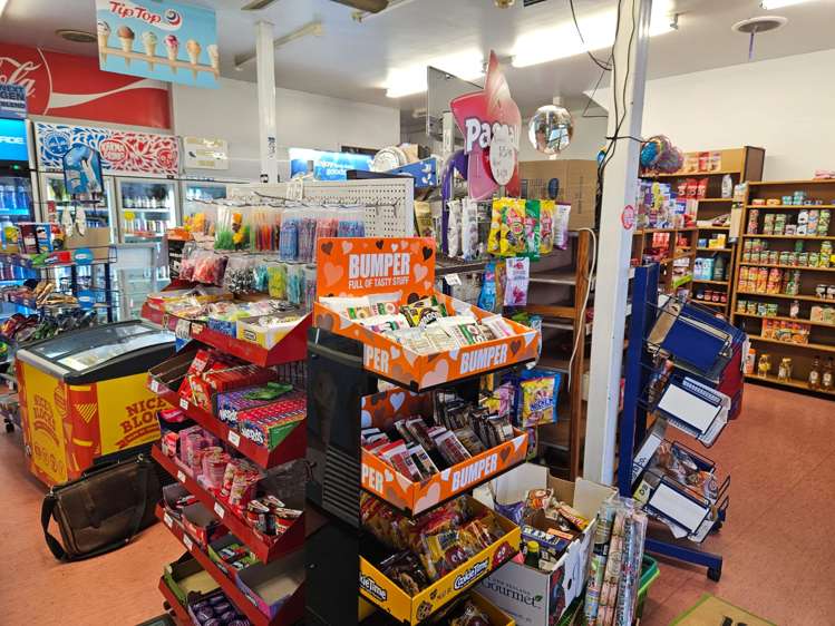 63 Williamson Avenue Grey Lynn_5