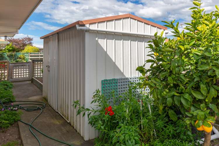 29a Cubitt Street Blenheim Central_12