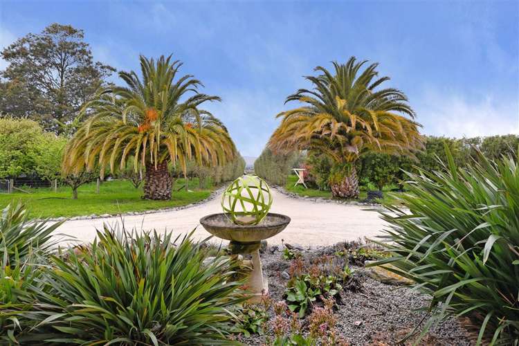 276 Old Renwick Road Springlands_3