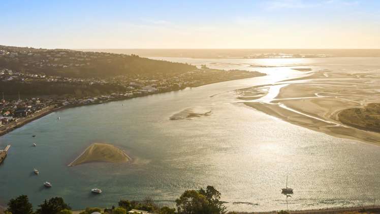 33 Tuawera Terrace Clifton_22