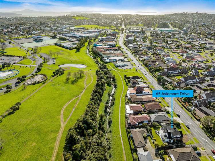 65 Aviemore Drive Highland Park_35