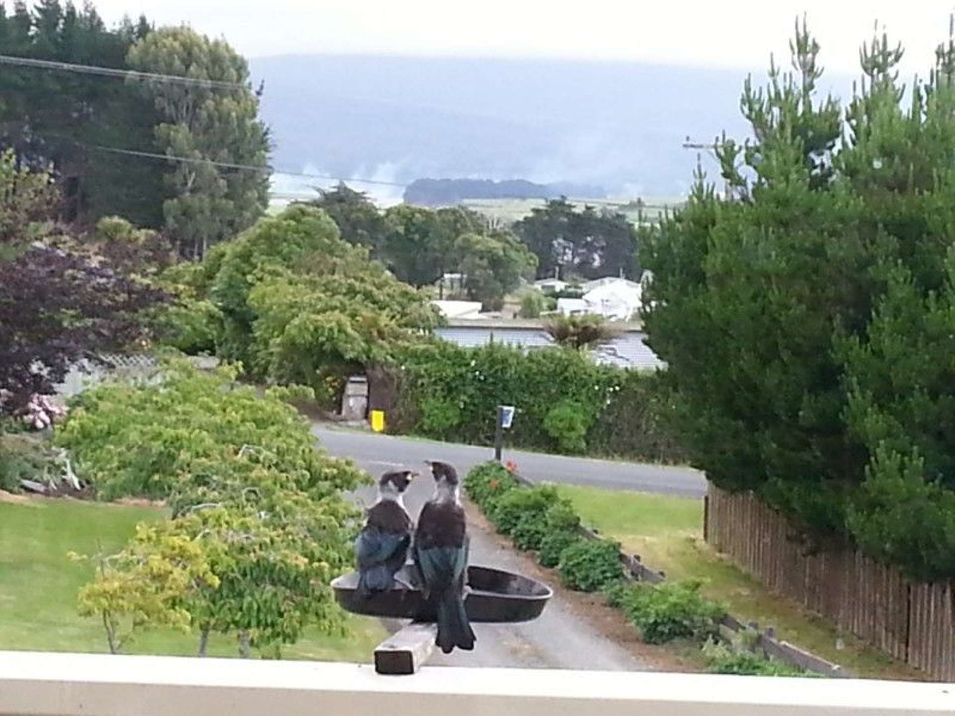 13b Shrewsbury Street Riverton_0