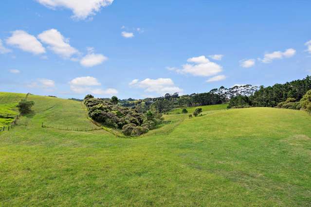 Lot 2, 295 Glenmore Road Coatesville_1