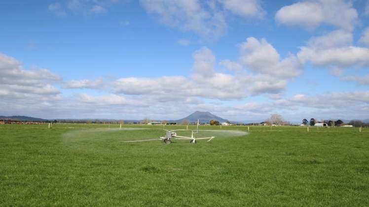 98 Mccracken Road Edgecumbe_4