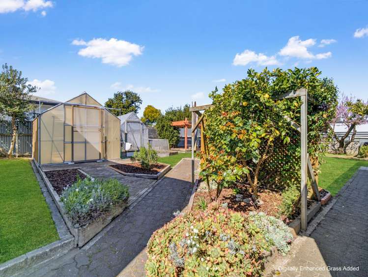 11 Bristol Street Tamatea_17