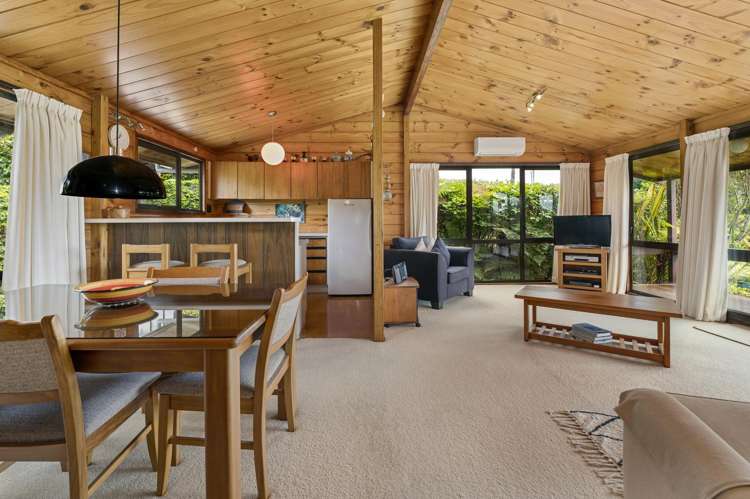 64 Utuhina Road Springfield_0