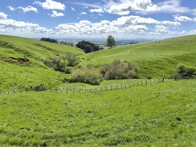 3/585 O'Shea Road Pirongia_3