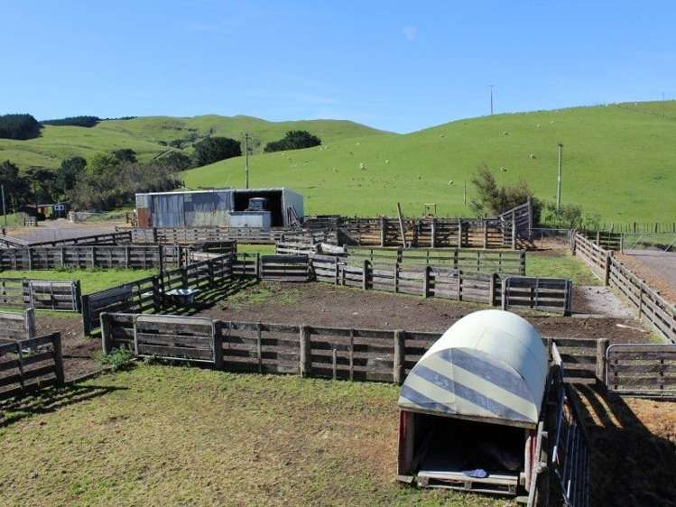 858 Oporae Road Weber_19