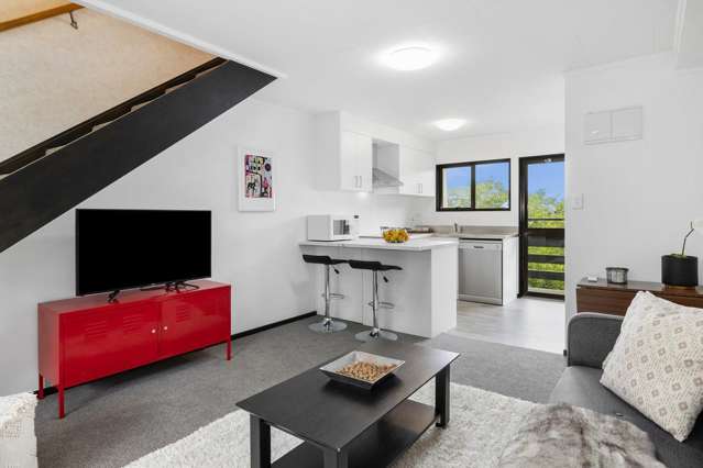 13/93 Queen Street North Dunedin_3