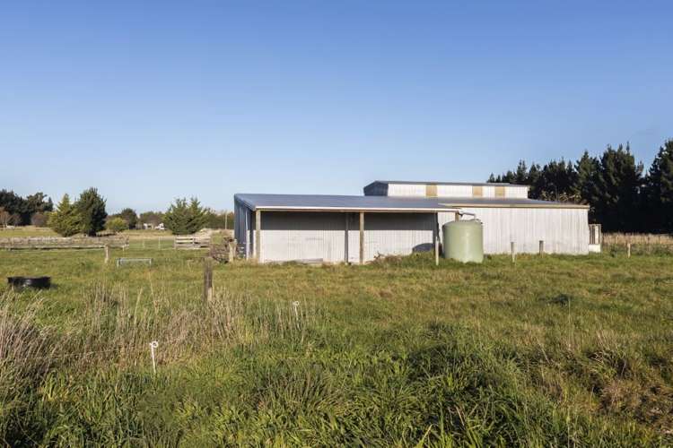 52 Webbs Road Amberley_4