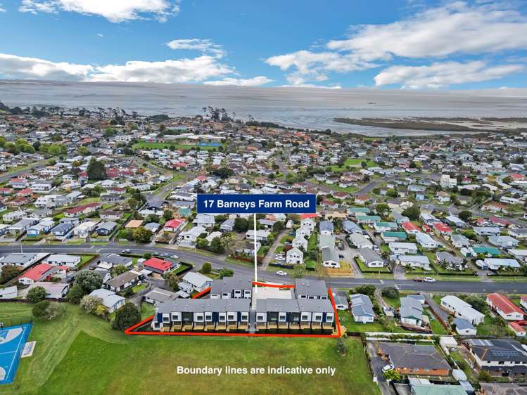 9/17 Barneys Farm Road Clendon Park_18