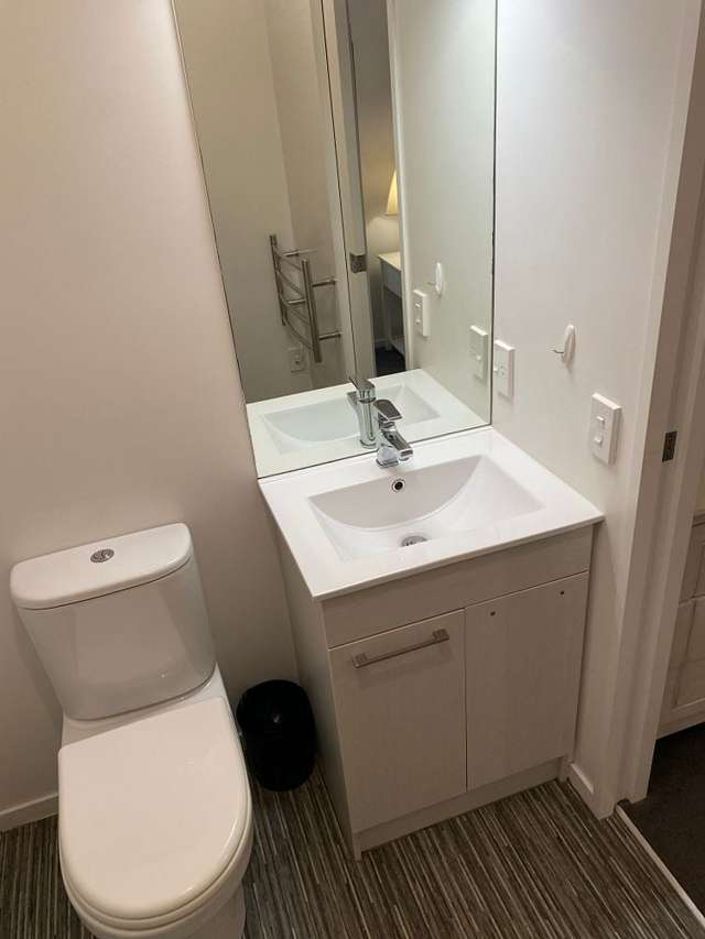 5C Salmont Place Kelburn_4