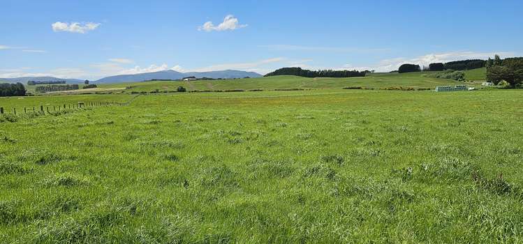 Parker Road Gore Surrounds_12