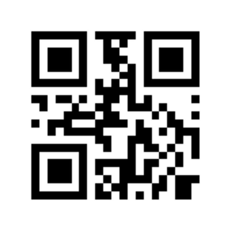 25a Seddon Crescent Marewa_13