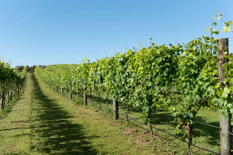 165A Waimate North Road Kerikeri_19