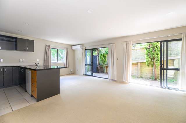 21a Balfour Road Parnell_2