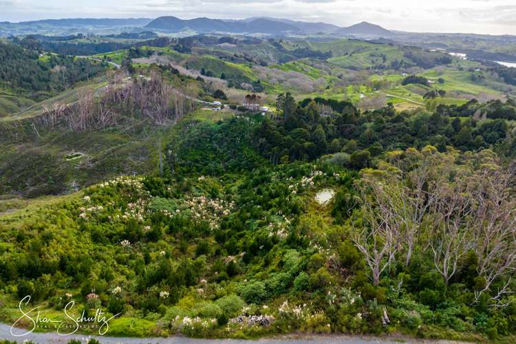 800 Bickerstaffe Road Maungaturoto_29