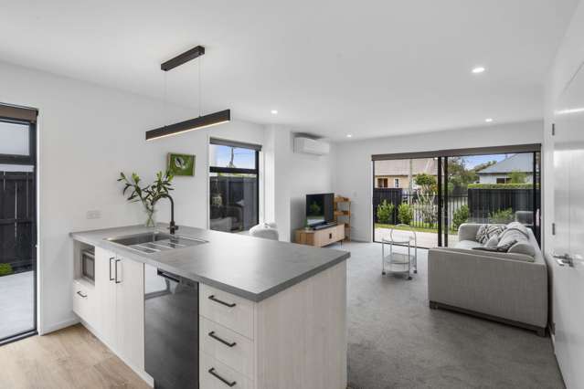 59c Winsor Crescent Spreydon_4