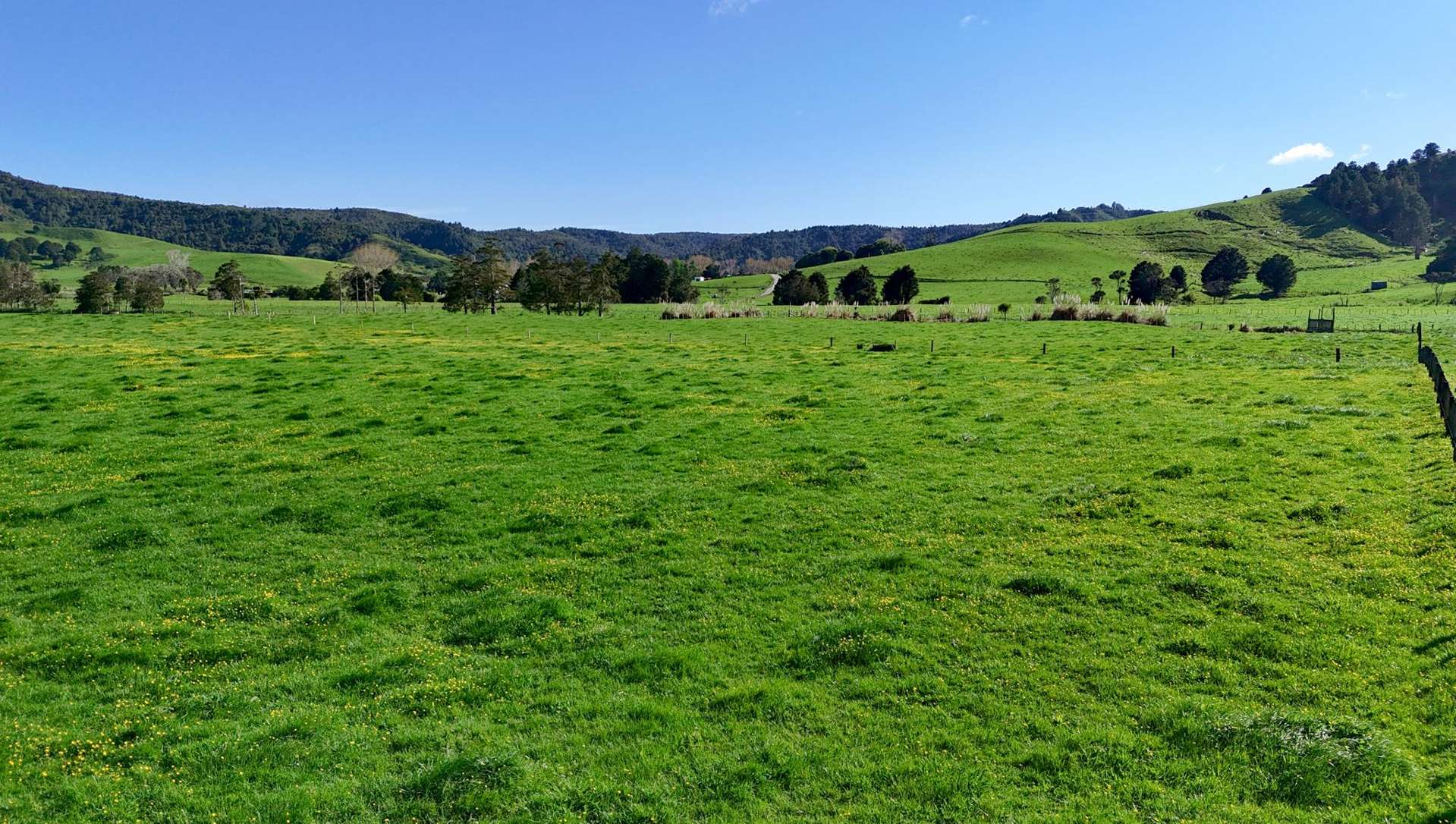 Matakana Valley Road Matakana_0