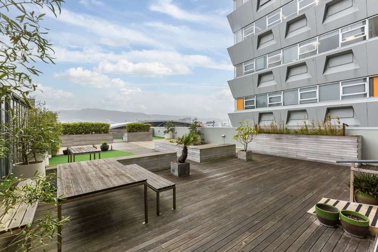 11E/9 Chews Lane Wellington Central_17