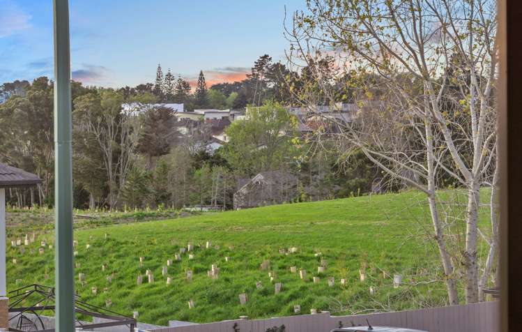 17 Savina Court Flat Bush_45