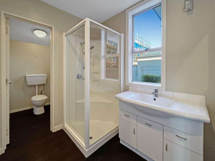 17 Sumner St Spreydon_15