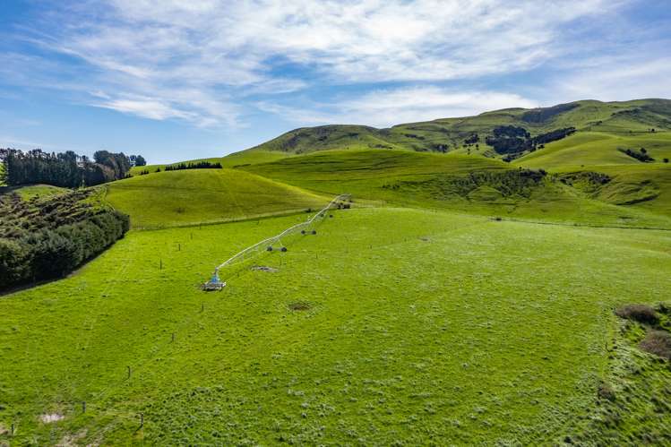 558 Leader Road West Waiau_19