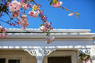 7 Salisbury Terrace_2