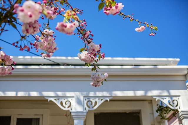 7 Salisbury Terrace Mount Cook_3
