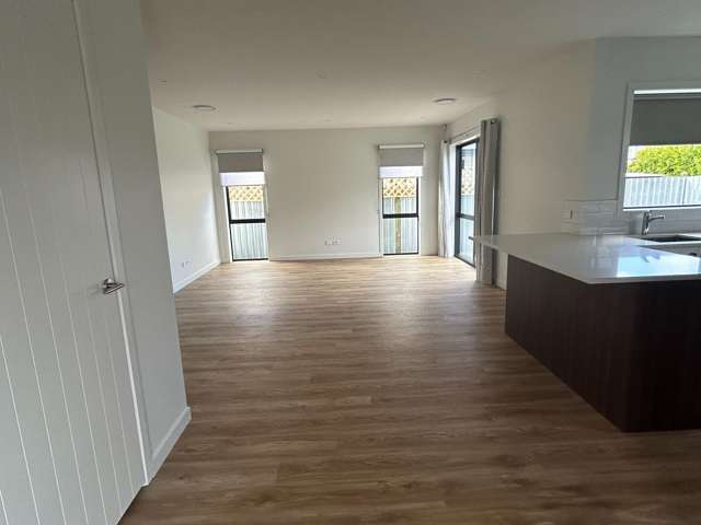 71 Auckland Road Greenmeadows_4