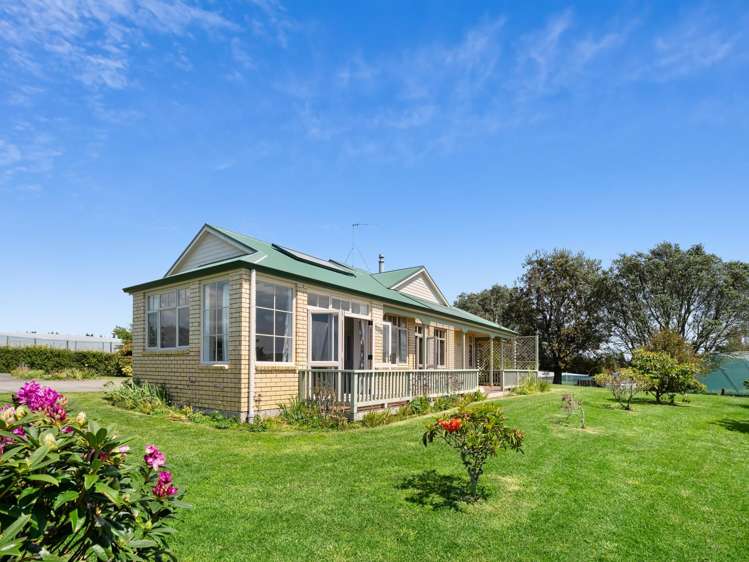 503 Allport Road Paengaroa_12